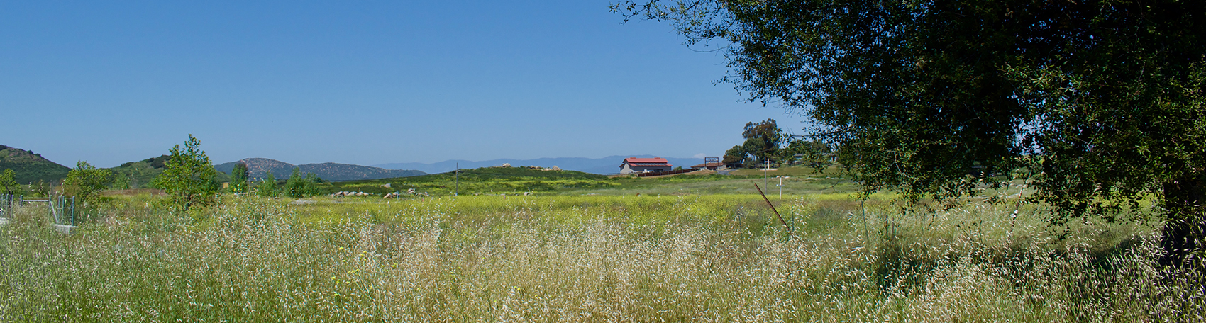 Landscape photo, green field, trees,building with red roof in distance