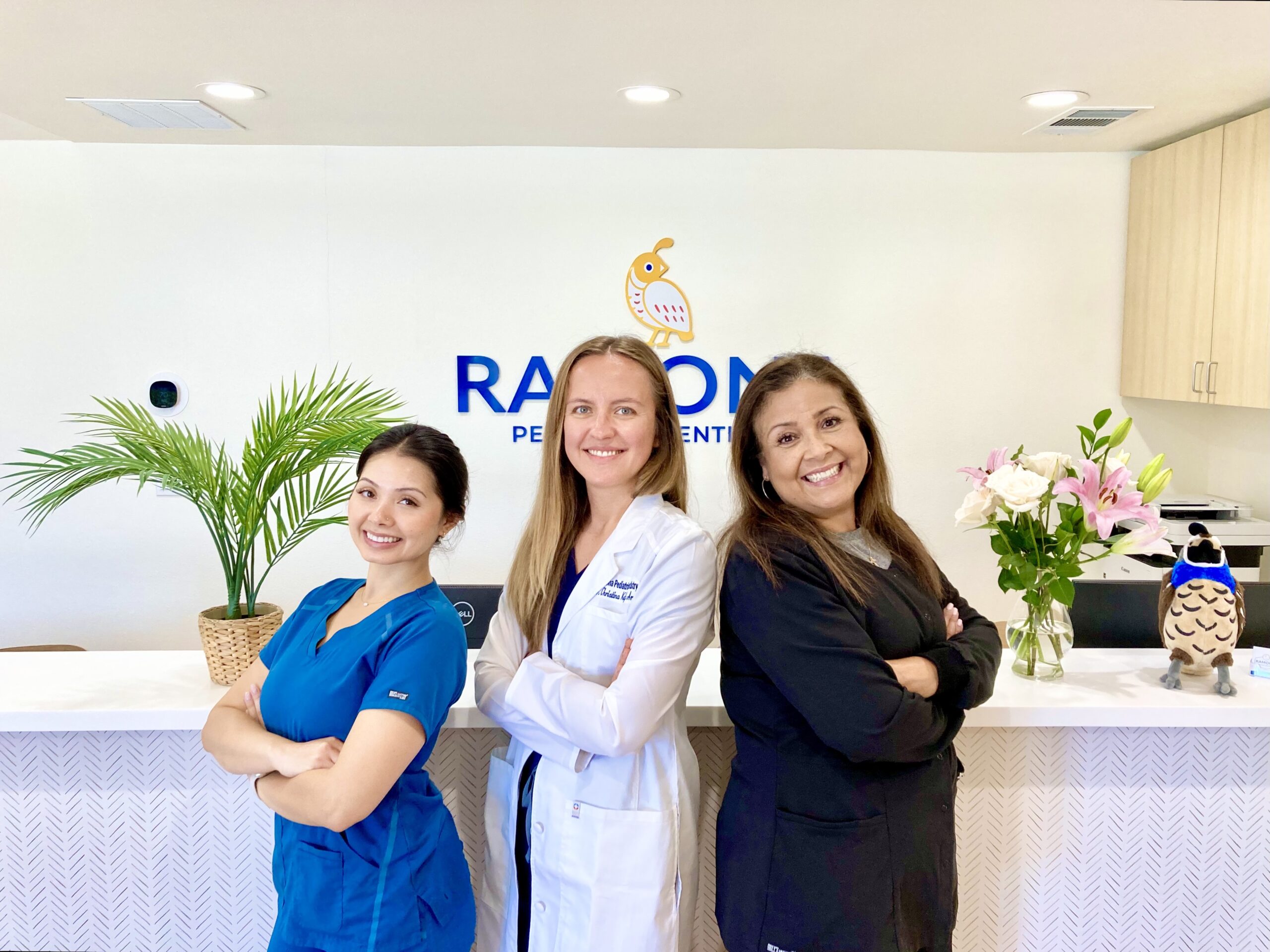 the dental team