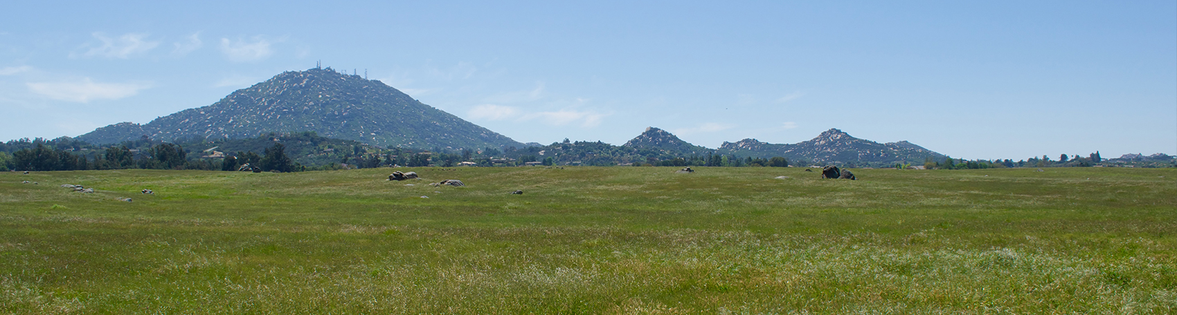 Landscape photo of green field with mountains in distance